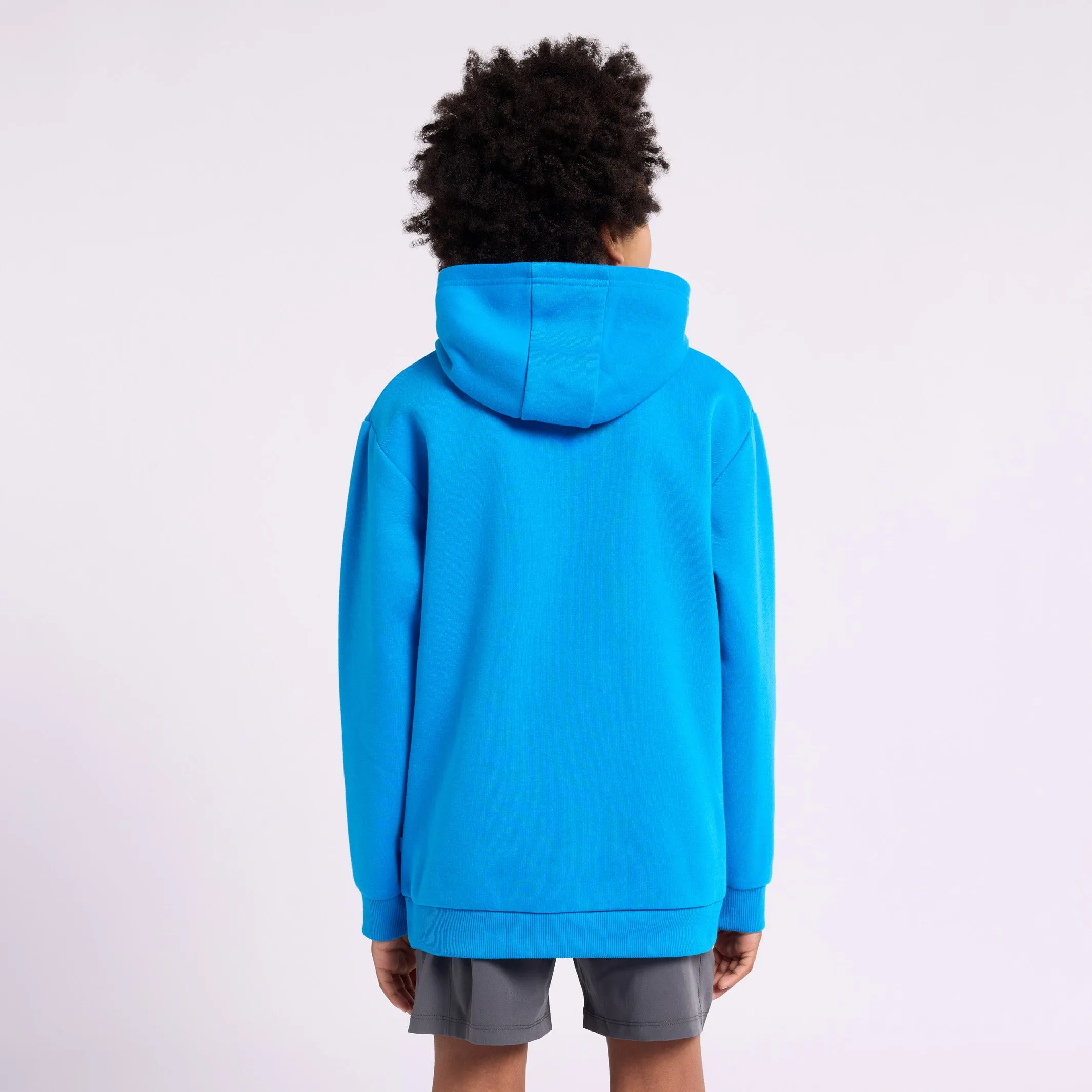 Boy's Hoodie AO Logo