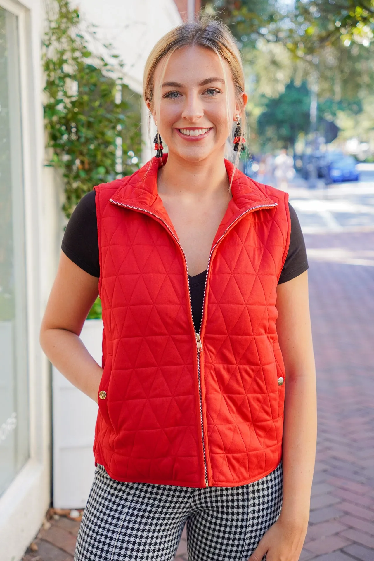 Mountain Side Vest