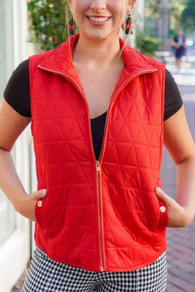 Mountain Side Vest