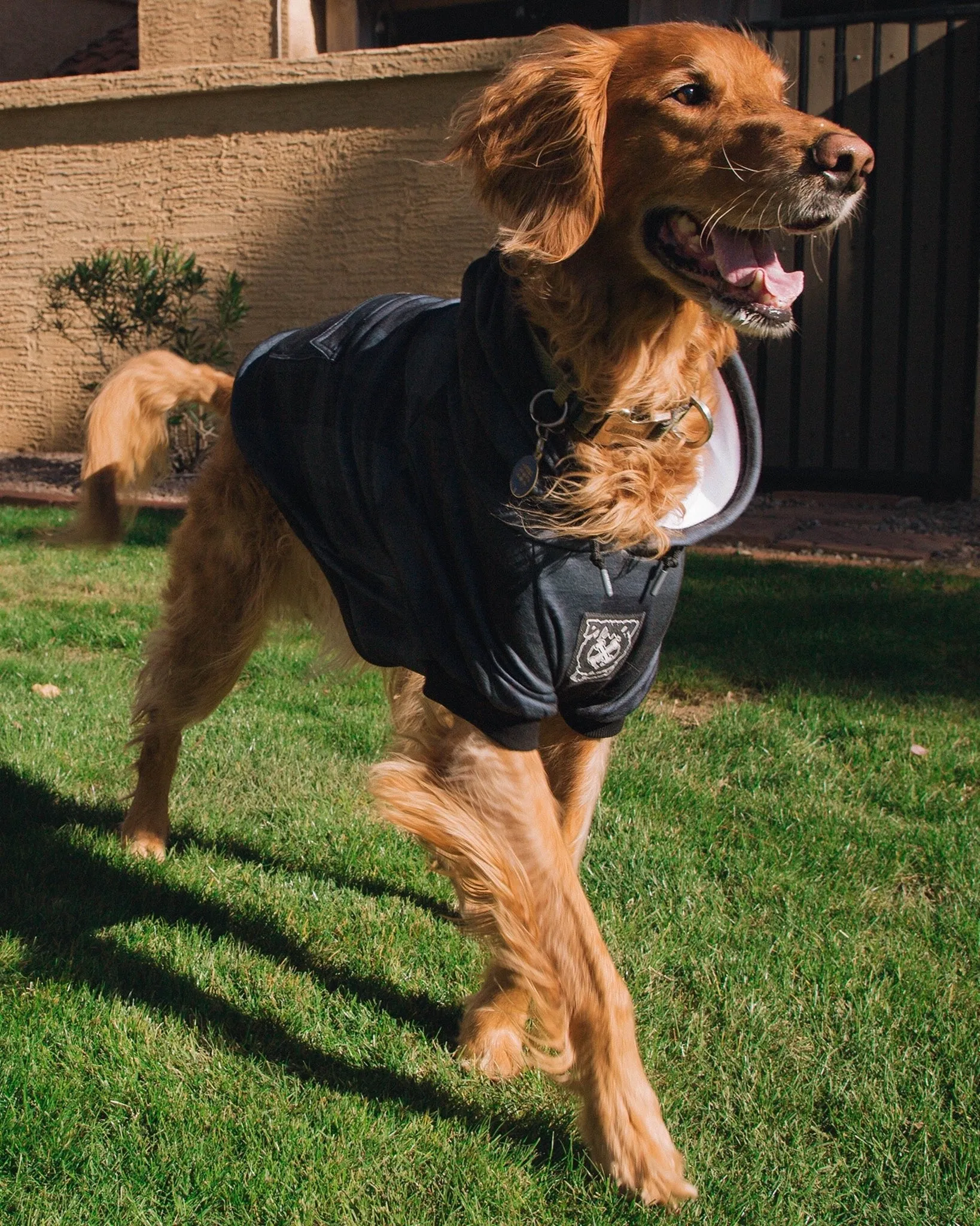 Murked Flannel Print Dog Hoodie